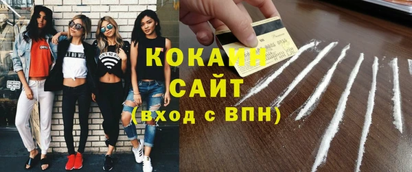 индика Заводоуковск
