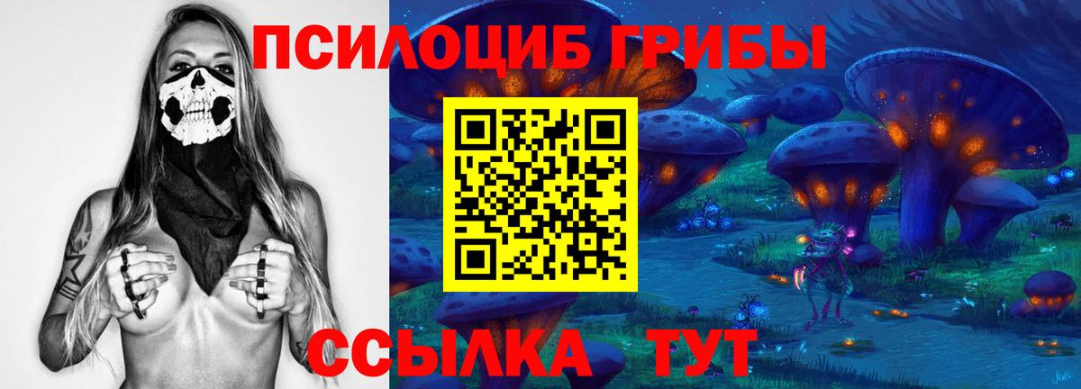 Псилоцибиновые грибы Psilocybe Зеленокумск