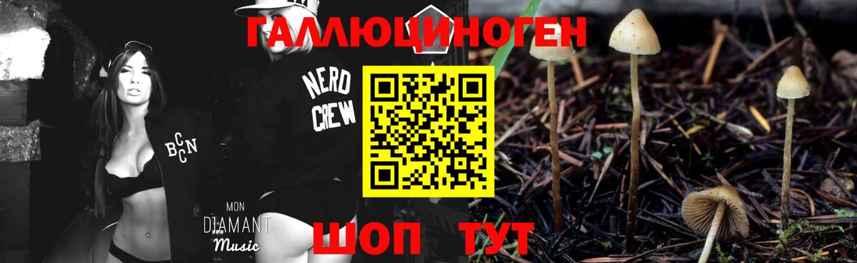 Галлюциногенные грибы Cubensis  Вход с VPN  Зеленокумск 