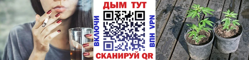 блэк спрут ссылка  купить  сайты  Зеленокумск  Конопля семена 