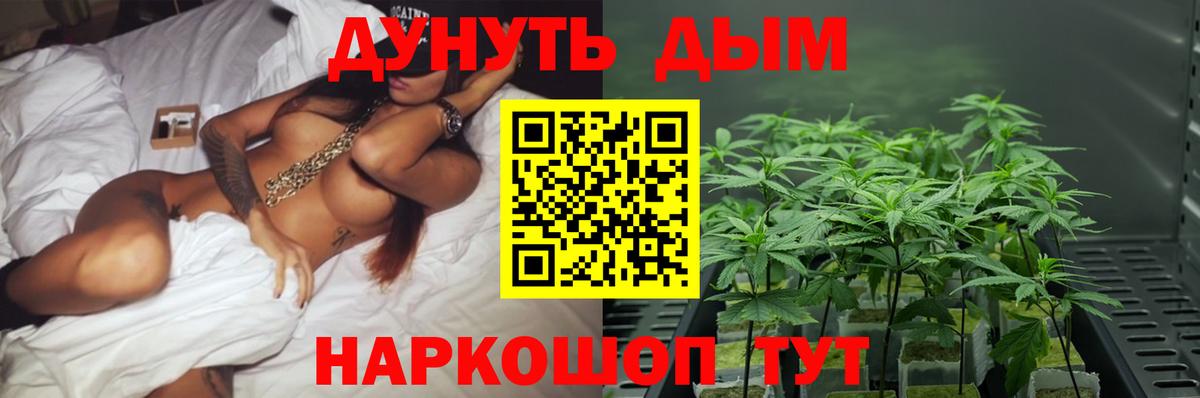 Марихуана ГИДРОПОН  Шишки марихуана тримм  Бошки марихуана семена  Вход с VPN  Каннабис сатива  Зеленокумск 